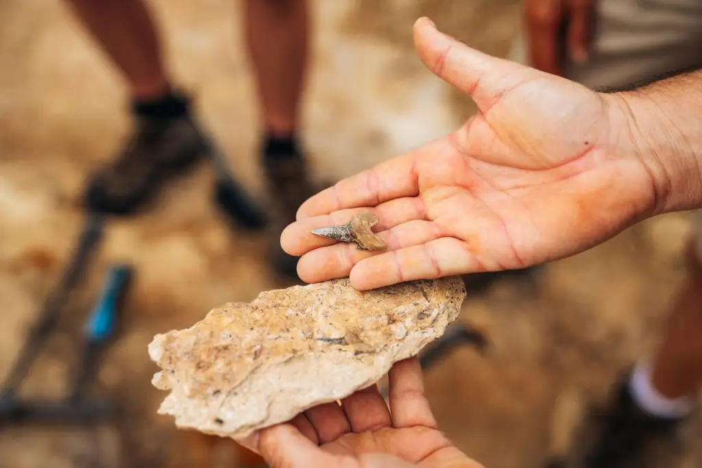 2025_TEQ_Outback_Richmond_KronosaurusKorner_ReubenNutt_LowRes_003