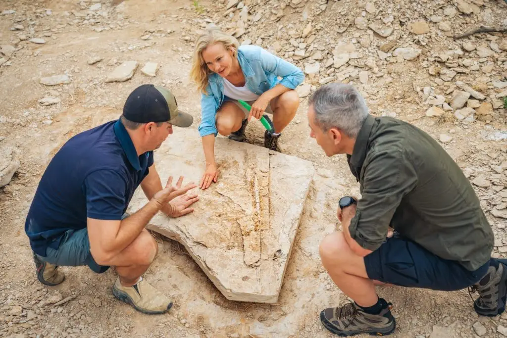 2025_TEQ_Outback_Richmond_KronosaurusKorner_ReubenNutt_LowRes_006