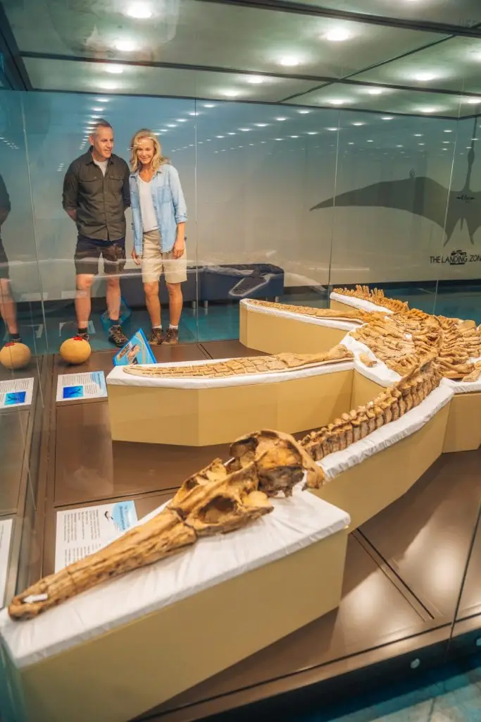 2025_TEQ_Outback_Richmond_KronosaurusKorner_ReubenNutt_LowRes_009